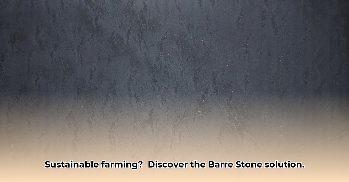 barre-stone-products